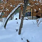 Storybook In The Forest