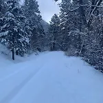 Storybook In The Forest Holiday home