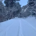 Storybook In The Forest Holiday home