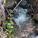 Storybook Cabin In The Santa Fe Forest