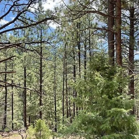 Holiday home Storybook In The Forest