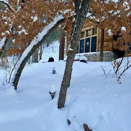 Storybook In The Forest