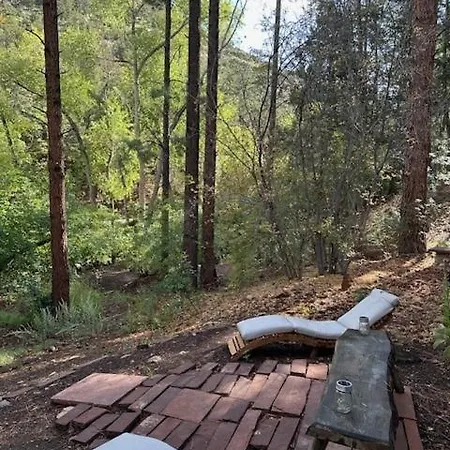 Storybook In The Forest *