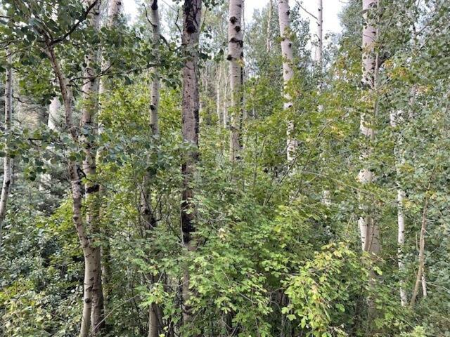 Storybook In The Forest * Santa Fe