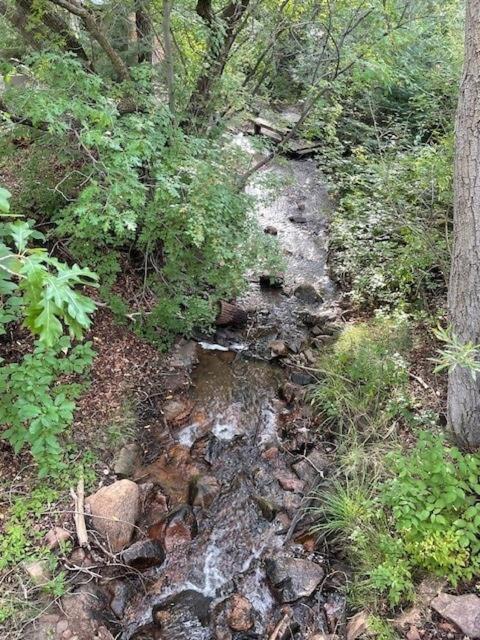 Storybook In The Forest Santa Fe