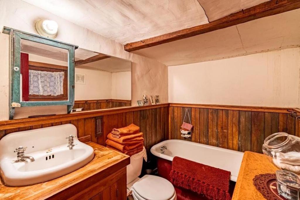 Storybook In The Forest *