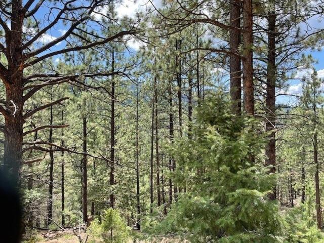 Hébergement de vacances Storybook In The Forest