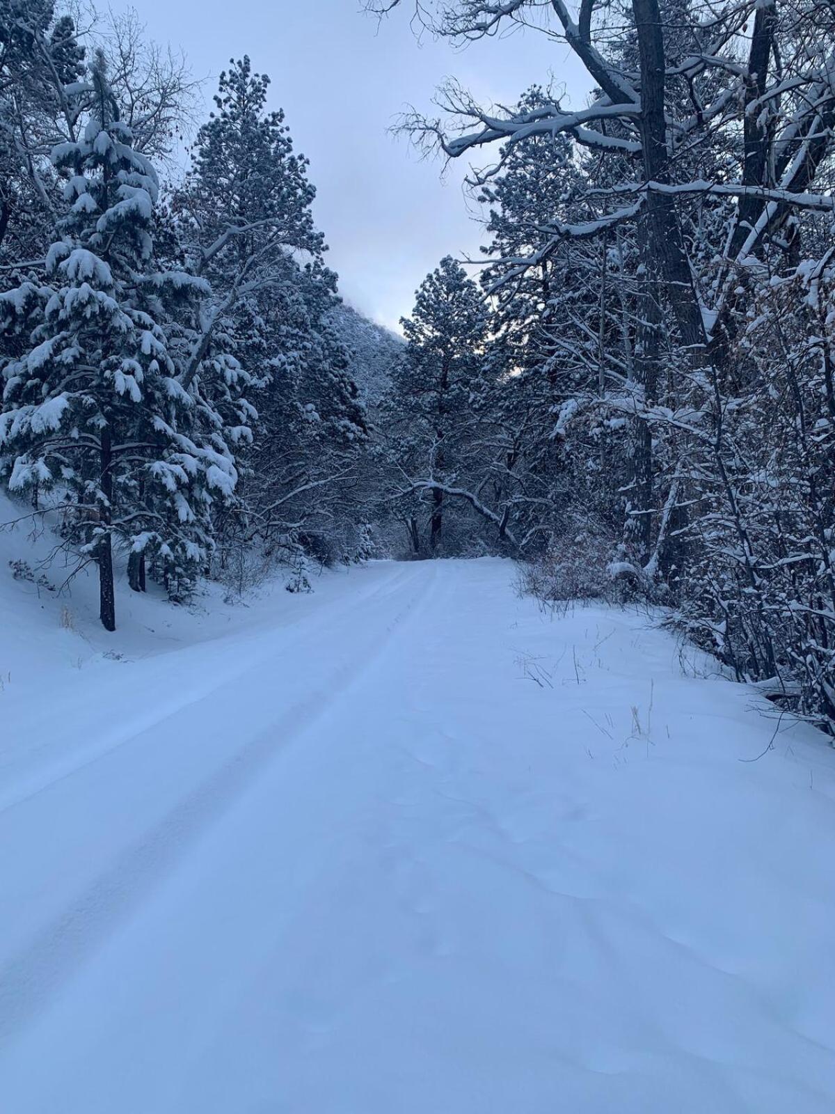 Storybook In The Forest Hébergement de vacances