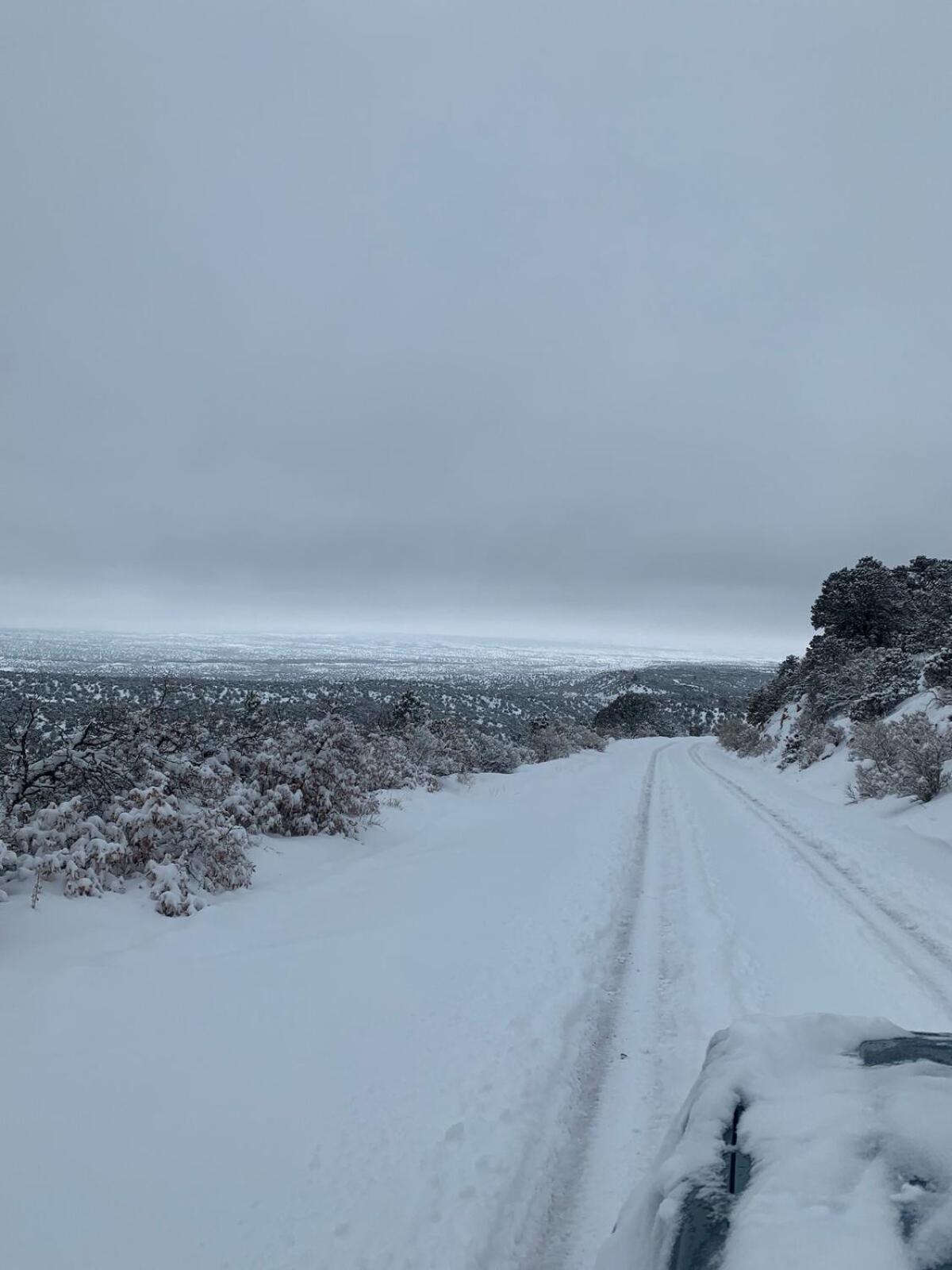 Storybook In The Forest *