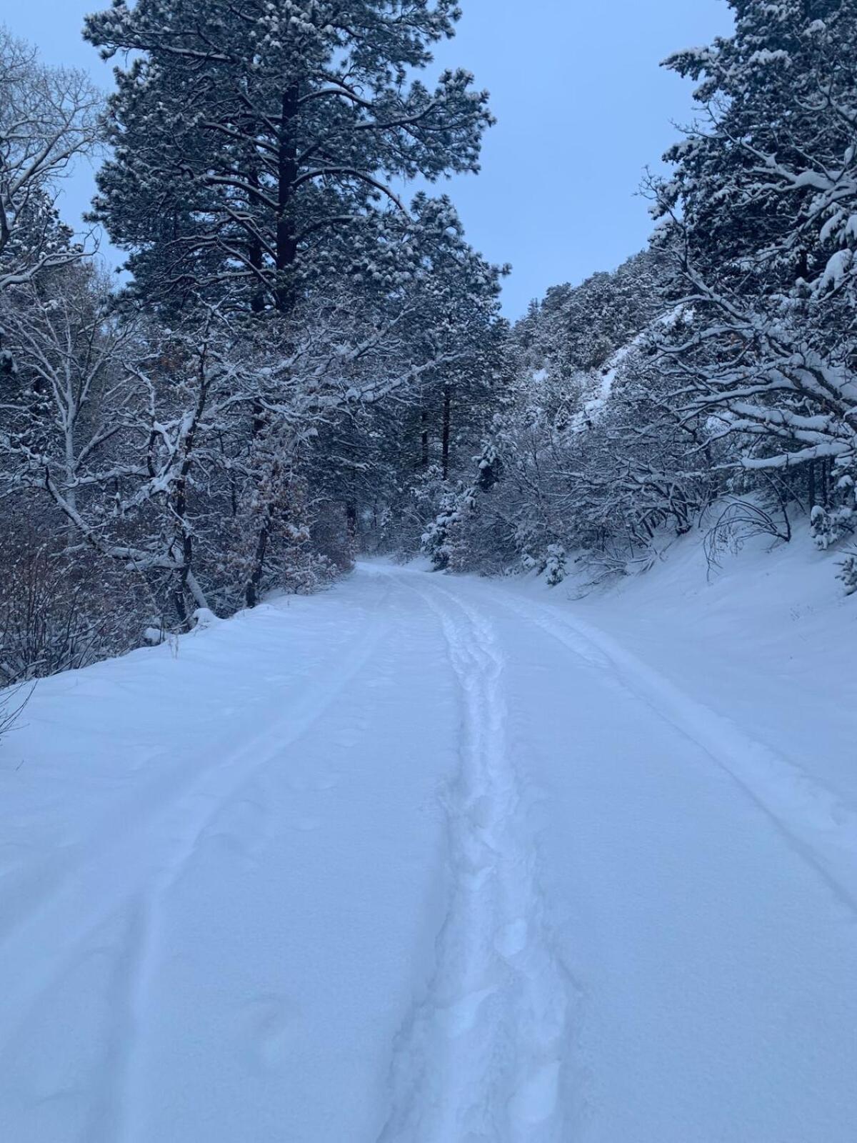 Storybook In The Forest Hébergement de vacances