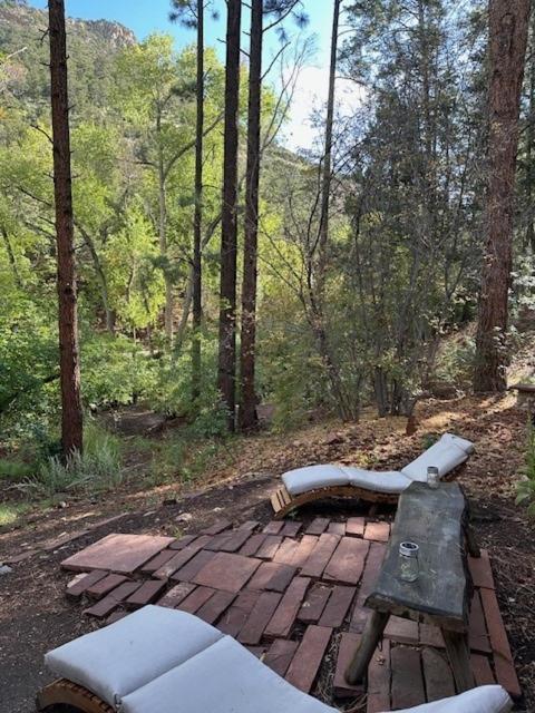 Storybook In The Forest *