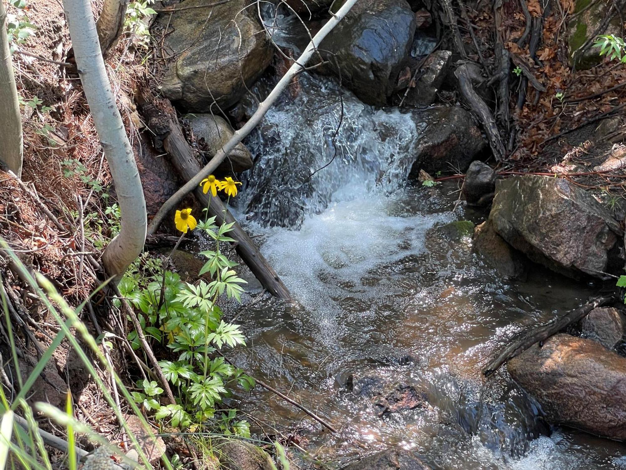 Hébergement de vacances Storybook In The Forest Santa Fé