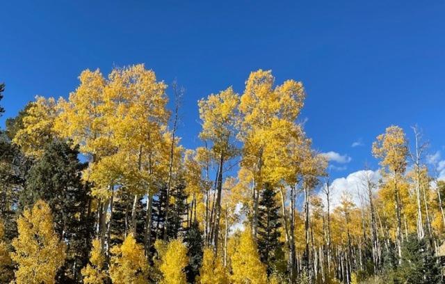 Hébergement de vacances Storybook In The Forest *